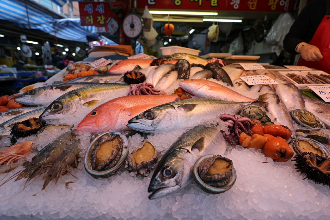 남포동 풍경